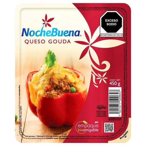 Queso Gouda (450grs)