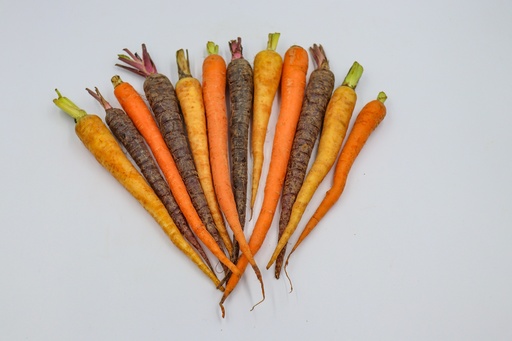 Baby Carrot Mix (1lb)